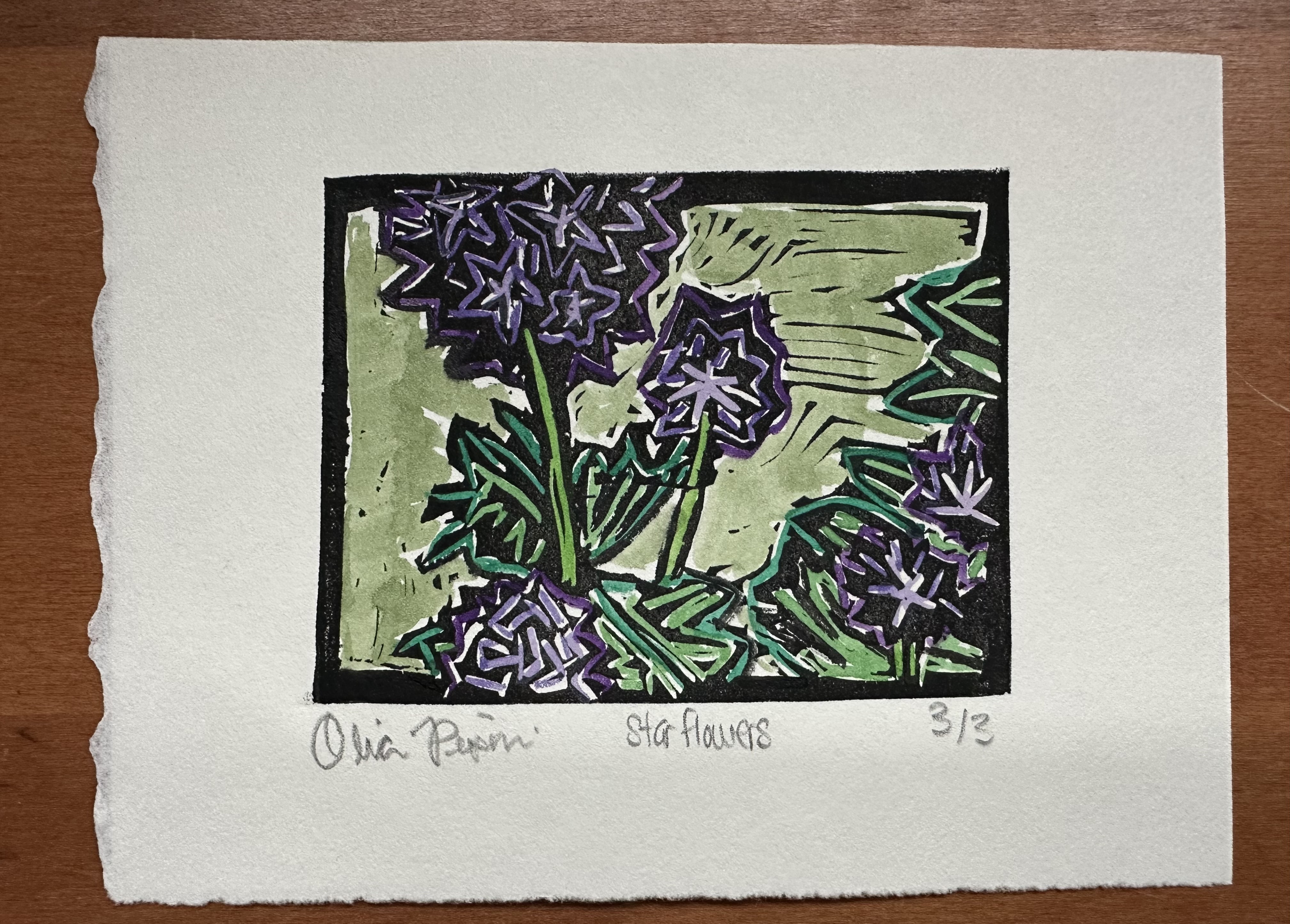 Most of the left side of the print is three blooms of purple flowers that look like puff balls with stars in them. They have green stems, and this greenery of leafs/stems goes over to the right with a couple smaller purple flowers. The background is painted light green. Below the print on the left is a black blob (blacked out signature), with "Star Flowers" in the center, and 3/3 on the far right.