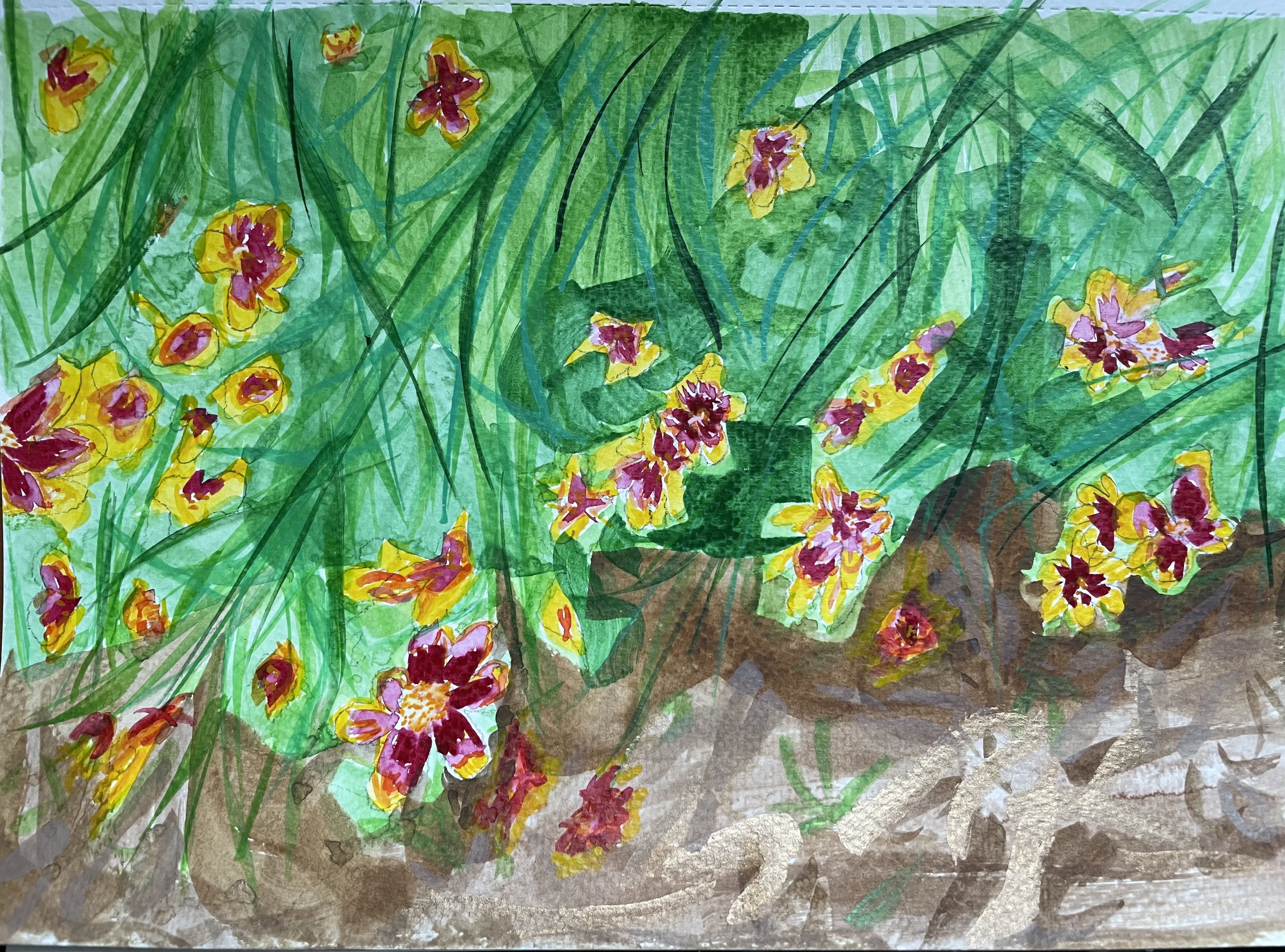 A horizontal watercolor illustration looking down at flowers. The bottom third is dirt and the top two-thirds is green grass/leaves with a variety of sizes of yellow and red/pink flowers.