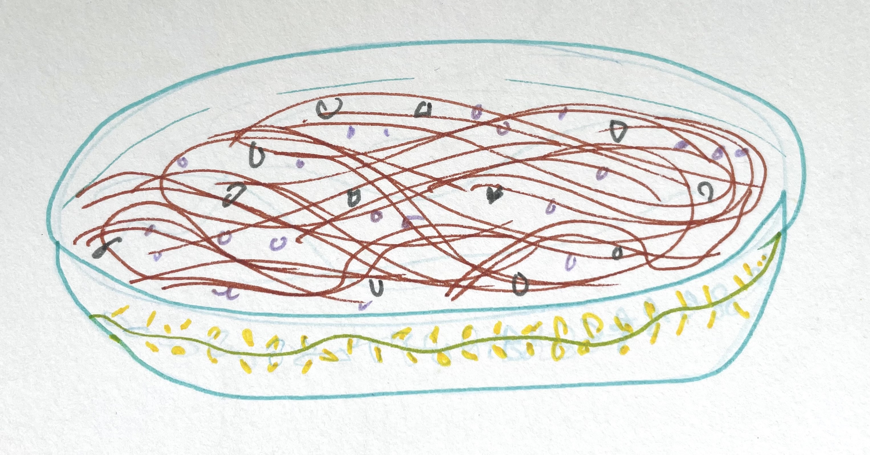 An illustration of a bowl of spaghetti. It's done in markers just outlining the bowl, a little flower design on the bowl, the noodles, and little squares representing bits of anchovies.