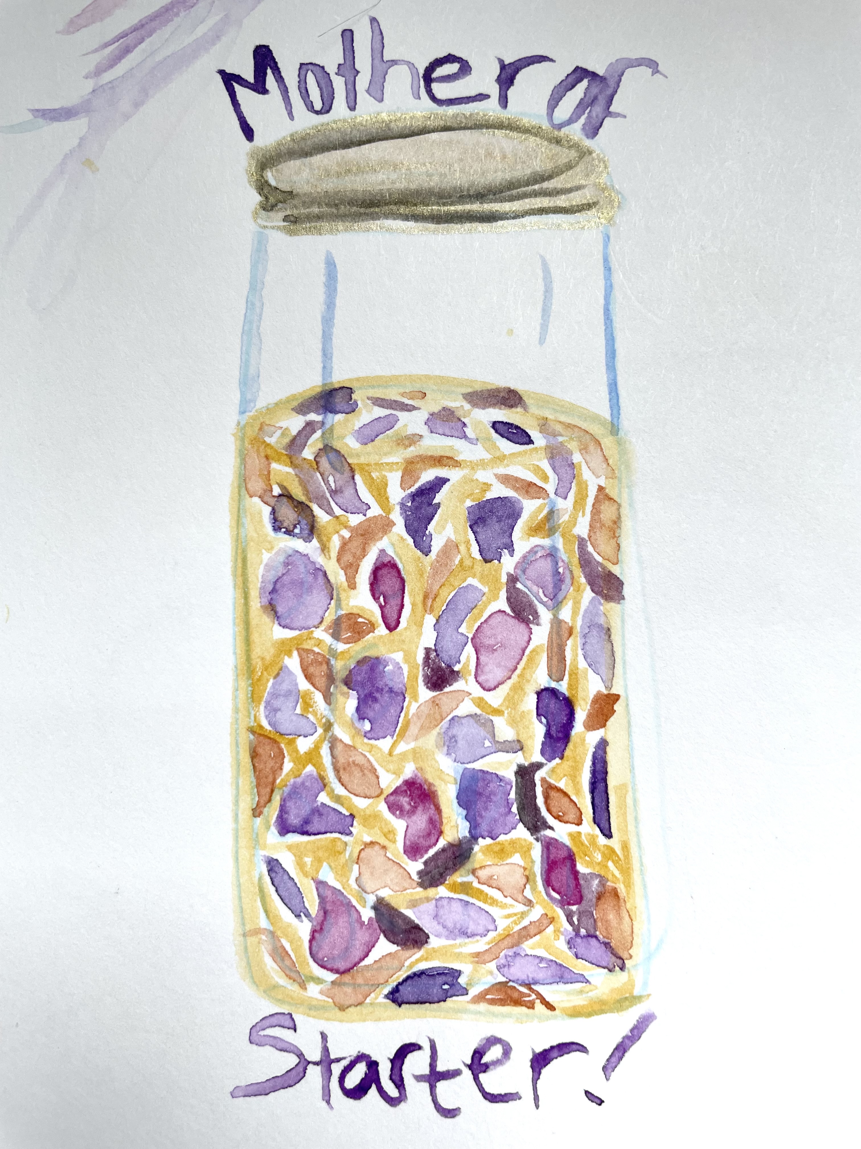 A watercolor illustration of a jar of yellow-beige liquid with little shapes of different purples and some browns - as to represent the raisins and honey sugar water that begin the recipe. On top it says 'Mother of' and on the bottom it says 'Starter!'