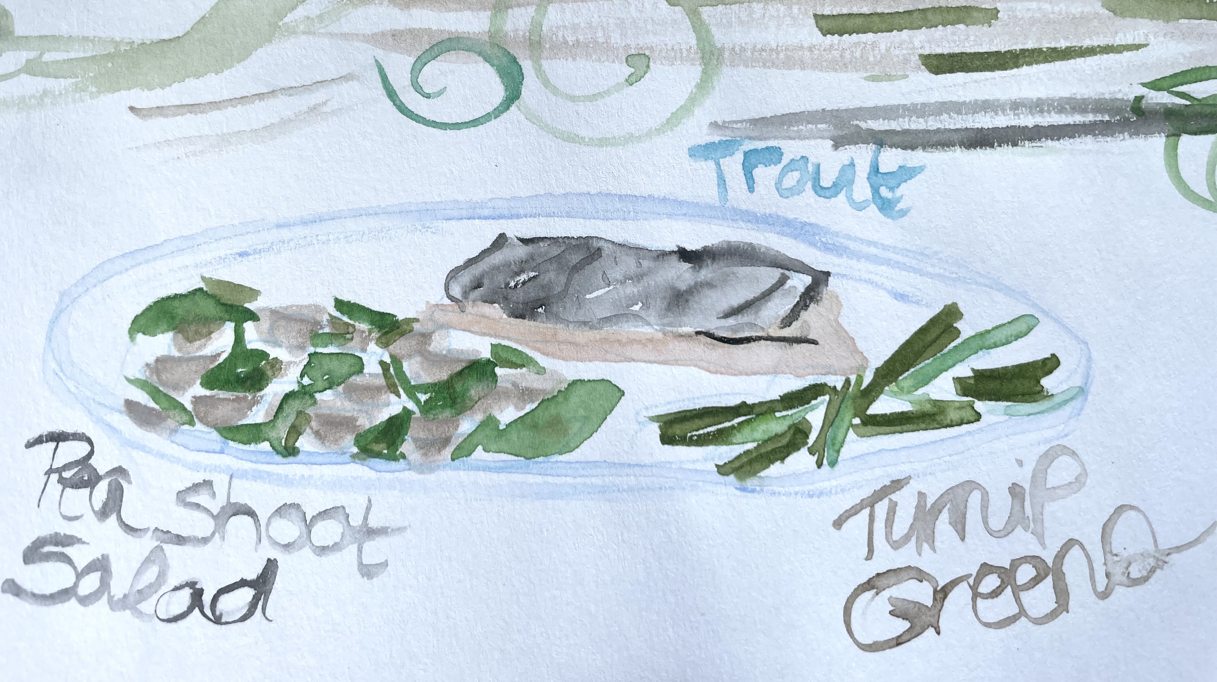 A watercolor illustration of a plate of food. At the top center is a slice of trout with skin-side up, to the left is the pea shoot salad, and to the right are turnip greens. Each are labled.